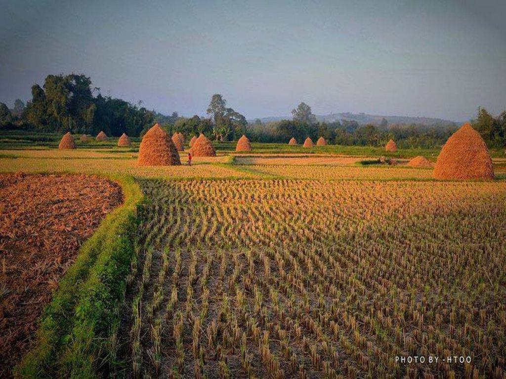 Mr Charles River View Lodge Hsipaw Esterno foto