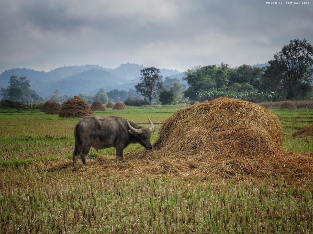 Mr Charles River View Lodge Hsipaw Esterno foto